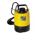 2" Submersible Pump 110v